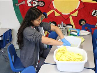 Medical Science Internship